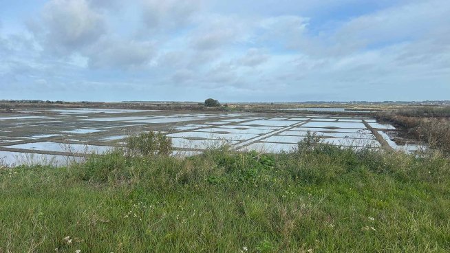 Marathon International de la Côte d'Amour