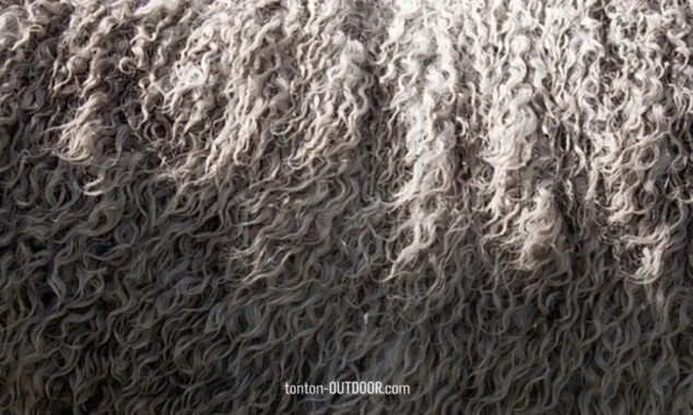 Sport invernali : i vantaggi della lana merino !