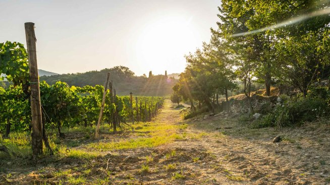 Chianti Ultra Trail