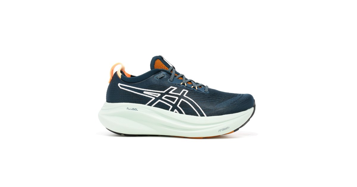 Asics Gel Nimbus 27 TR homme Chaussures de running