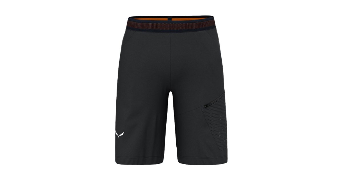 Salewa PEDROC 3 DST CARGO SHORTS pour hommes (L) - acheter sur