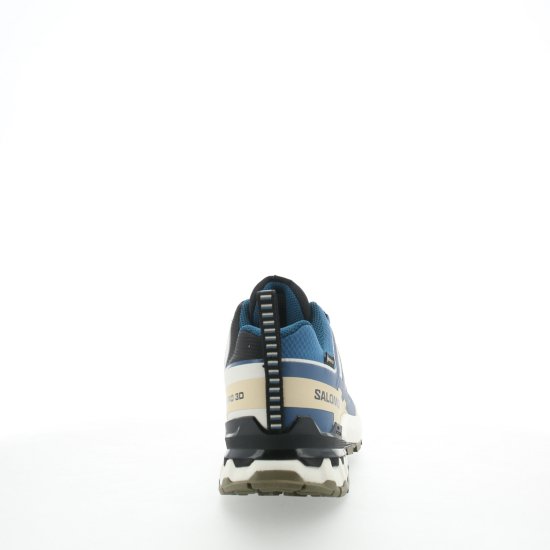 SALOMON - XA PRO 3D V9 GTX HOMME