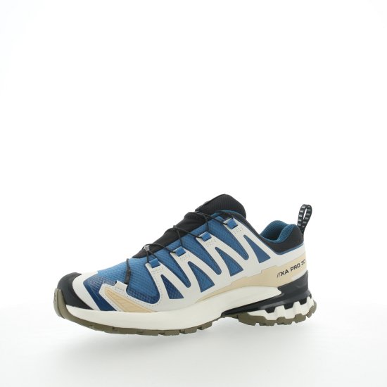 SALOMON - XA PRO 3D V9 GTX HOMME