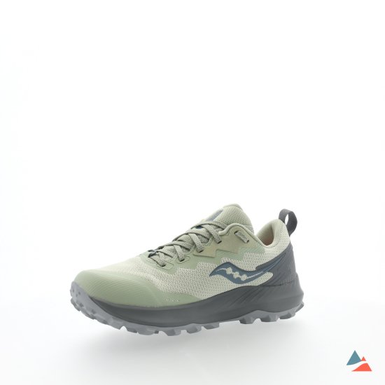 SAUCONY - PEREGRINE 14 GTX FEMME