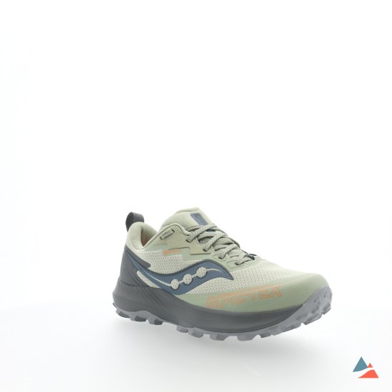 SAUCONY - PEREGRINE 14 GTX FEMME