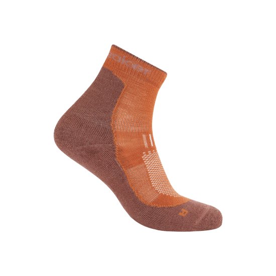 ICEBREAKER - SOCQUETTES MÉRINOS LIGHT HIKE+ HOMME
