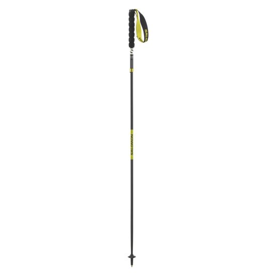SALOMON - BÂTONS DE TRAIL ULTRA CARBON PLIABLES
