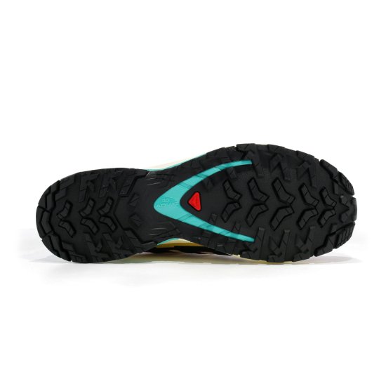 SALOMON - XA PRO 3D V9 GTX HOMME