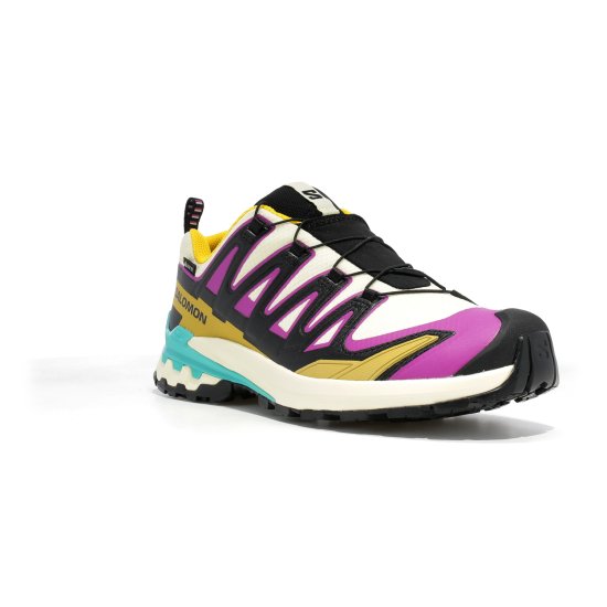 SALOMON - XA PRO 3D V9 GTX HOMME