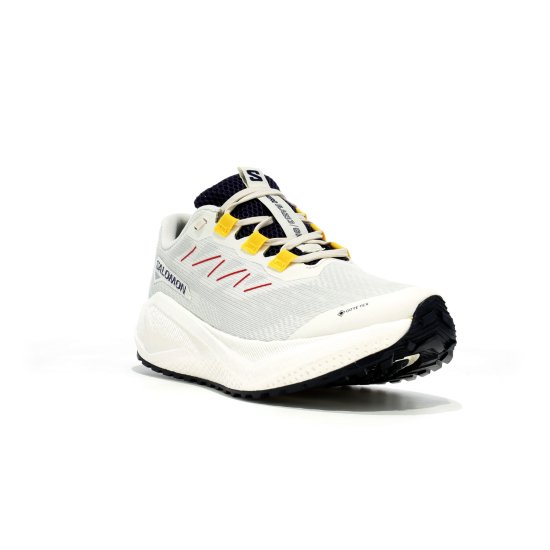 SALOMON - Aero Blaze 3 Grvl Gore-Tex femme