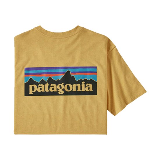 PATAGONIA - T-SHIRT MANCHES COURTES P-6 LOGO RESPONSIBILI-TEE HOMME