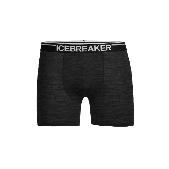 ICEBREAKER - BOXER ANATOMICA HOMME