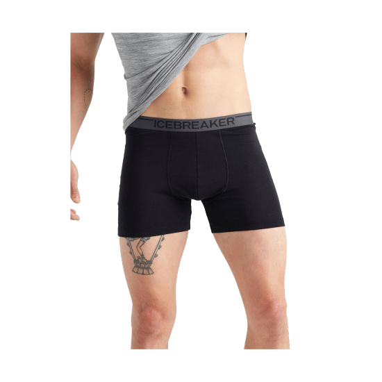 ICEBREAKER - BOXER ANATOMICA HOMME
