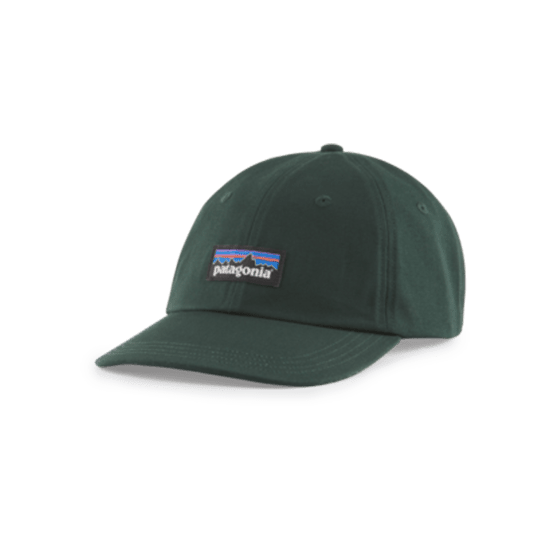 PATAGONIA - CASQUETTE P-6 LABEL TRAD