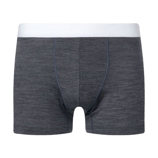 ICEBREAKER - BOXER ANATOMICA COOL-LITE HOMME