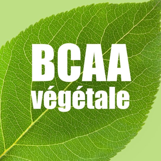 OVERSTIMS - GEL ÉNERGÉTIQUE ENERGIX