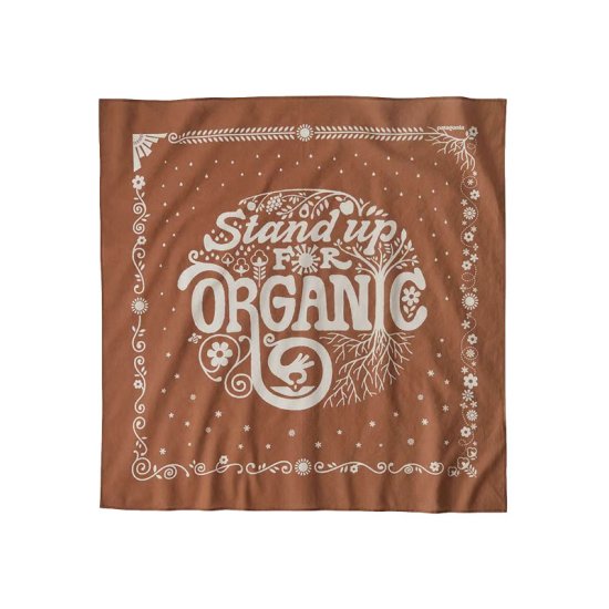 PATAGONIA - BANDANA