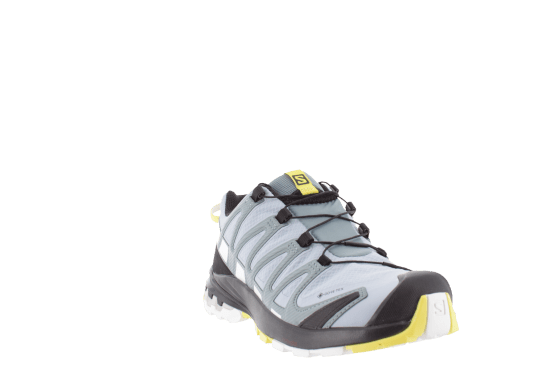 SALOMON - XA PRO 3D V8 GTX FEMME