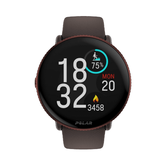 POLAR - IGNITE 3
