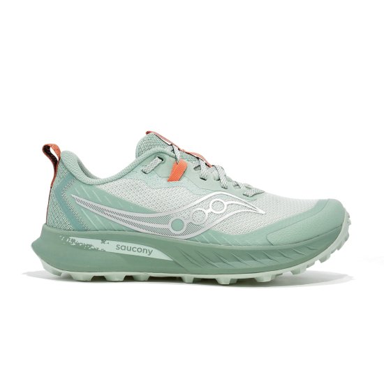 SAUCONY - PEREGRINE 15 FEMME