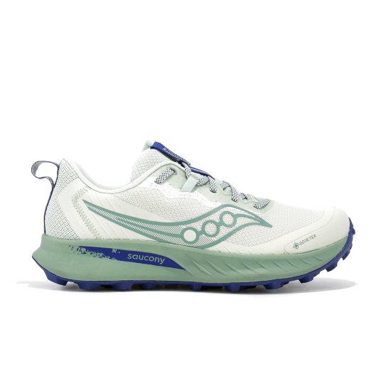 SAUCONY - PEREGRINE 15 GTX FEMME