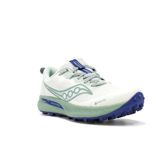 SAUCONY - PEREGRINE 15 GTX FEMME