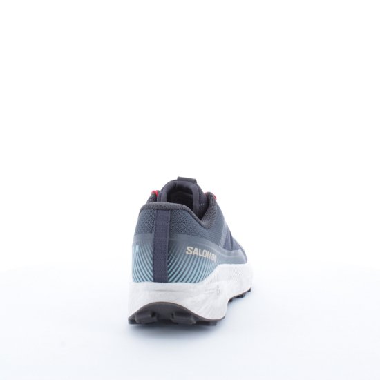 SALOMON - VISION MIXTE
