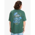 T-SHIRT HW DESERT PARADISE HOMME - QUIKSILVER