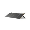 Panneau solaire 100