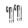 Bâtons de randonnée  Skysolo FX.One Carbon - LEKI