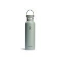 GOURDE 21 OZ STANDARD FLEX CAP AGAVE