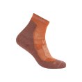 SOCQUETTES MÉRINOS LIGHT HIKE+ HOMME - ICEBREAKER