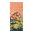 Tour de cou CoolNet UV Zion National Park - BUFF