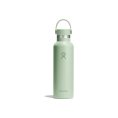 GOURDE 21 OZ STANDARD FLEX CAP ALOE