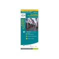 Carte IGN CHEMIN DE COMPOSTELLE GR®65-2 DE MOISSAC A RONCEVAUX - IGN