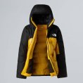 DOUDOUNE SUMMIT HIMALAYAN DOWN HOMME - THE NORTH FACE