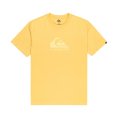 T-SHIRT EV COMP LOGO HOMME - QUIKSILVER