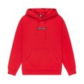 Sweat à capuche Dna homme - QUIKSILVER