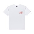 T-shirt Ev Waves Festival homme - QUIKSILVER