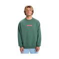 Felpa DNA uomo - QUIKSILVER