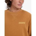 SWEAT SALT WATER GRAPHIC HOMME - QUIKSILVER