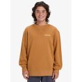 SWEAT SALT WATER GRAPHIC HOMME - QUIKSILVER