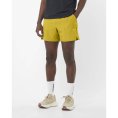 Short SHKout CORE 5" homme - SALOMON