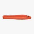 SAC DE COUCHAGE GREYSTONE 20 (600 DOWNTEK) REG - BIG AGNES