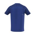 T-shirt Graphic homme - MIZUNO