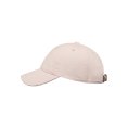 Cappello in velluto Icon Dad uomo - ELEMENT