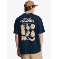 T-shirt Fruits Tide homme - QUIKSILVER