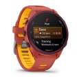 Forerunner 170 - GARMIN