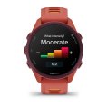 Forerunner 170 - GARMIN