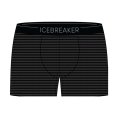 BOXER ANATOMICA HOMME - ICEBREAKER
